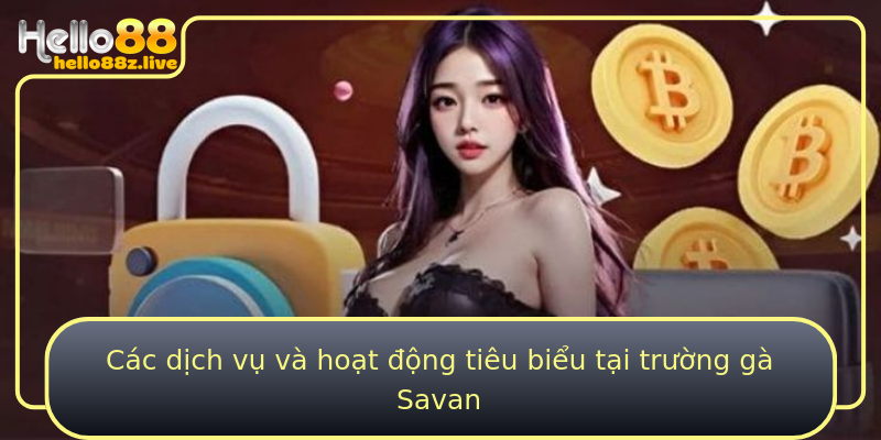 Các dịch vụ và hoạt động tiêu biểu tại trường gà Savan