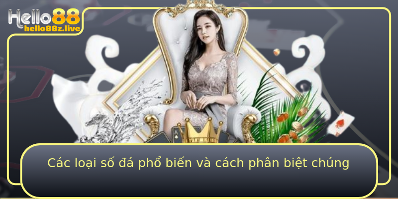 Các loại số đá phổ biến và cách phân biệt chúng