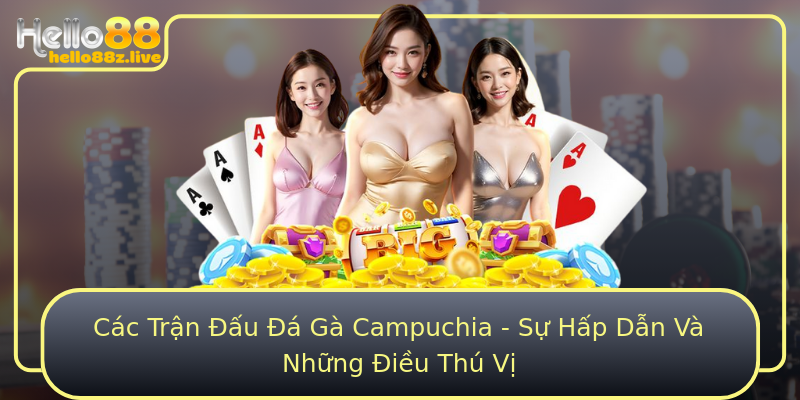 Các Trận Đấu Đá Gà Campuchia - Sự Hấp Dẫn Và Những Điều Thú Vị