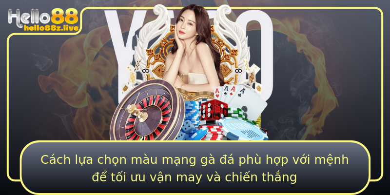 Cách lựa chọn màu mạng gà đá phù hợp với mệnh để tối ưu vận may và chiến thắng