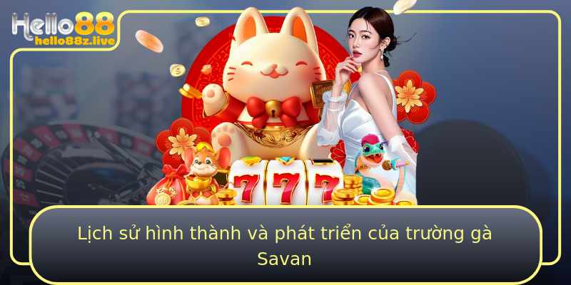 Lịch sử hình thành và phát triển của trường gà Savan